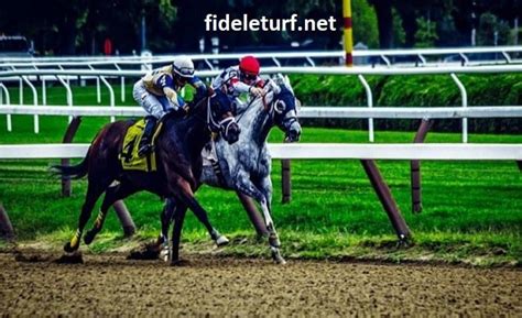 gouveturf|blog de wolni de demain.